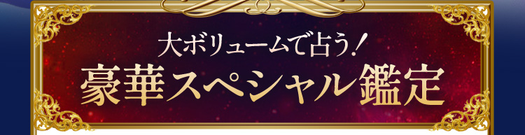 ��{�����[���Ő肤!���؃X�y�V�����Ӓ�