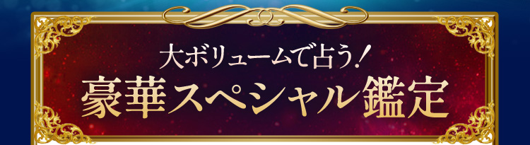 大ボリュームで占う!豪華スペシャル鑑定