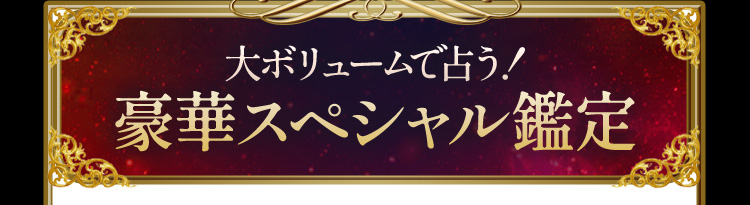 大ボリュームで占う!豪華スペシャル鑑定