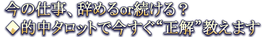 ̎dA߂orHI^bgōgh܂