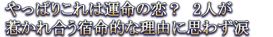 ����ς肱��͉^���̗��H 2�l���䂩�ꍇ���h���I�ȗ��R�Ɏv�킸��
