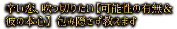 hA؂肽y\̗Lނ̖{Sz݉B܂