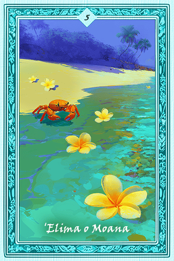 Moana�m���A�i/�C�n�E5