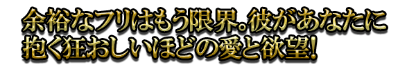 余裕なフリはもう限界。彼があなたに抱く狂おしいほどの愛と欲望!