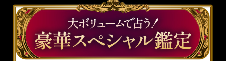 大ボリュームで占う!豪華スペシャル鑑定