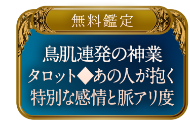 【無料鑑定】鳥肌連発の神業タロット◆あの人が抱く特別な感情と脈アリ度
