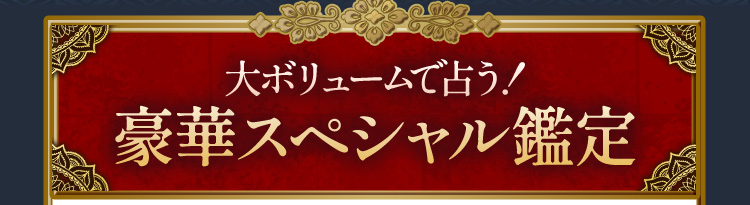 大ボリュームで占う!豪華スペシャル鑑定