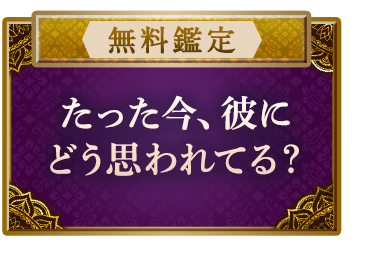 【無料鑑定】【たった今、彼にどう思われてる?】猫タロットに浮かぶリアルな本音