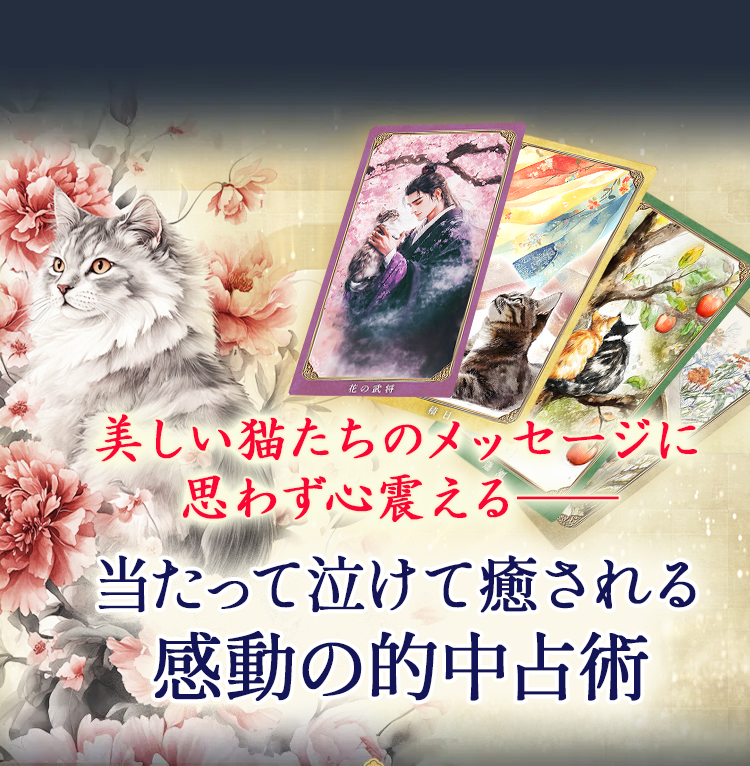 美しい猫たちのメッセージに思わず心震える 当たって泣けて癒される感動の的中占術