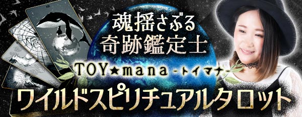 hԂՂ̊ӒmTOYmana
