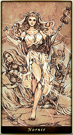 ��̿�λ�����