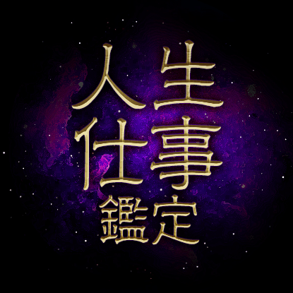 �����Ż�����