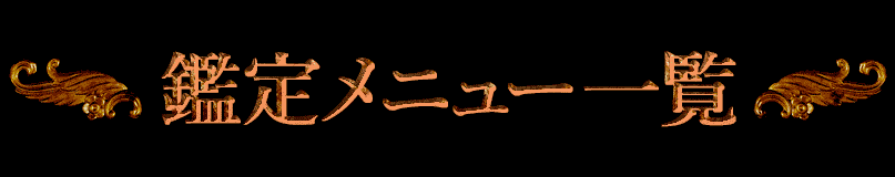 �����˥塼����