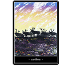 ����֡��ʥȥʥ�����