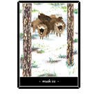 �ॹ�����å����ʥ��㥳��������