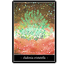 �ϥʥ������ϰ����