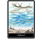 �ɥ�եȥ��åɡ�ή�ڡ�