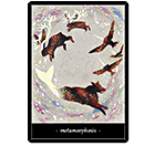 �᥿���ե��������ѿȡ�