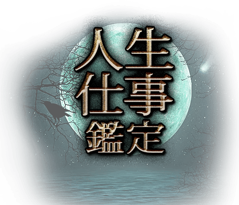 �����Ż�����