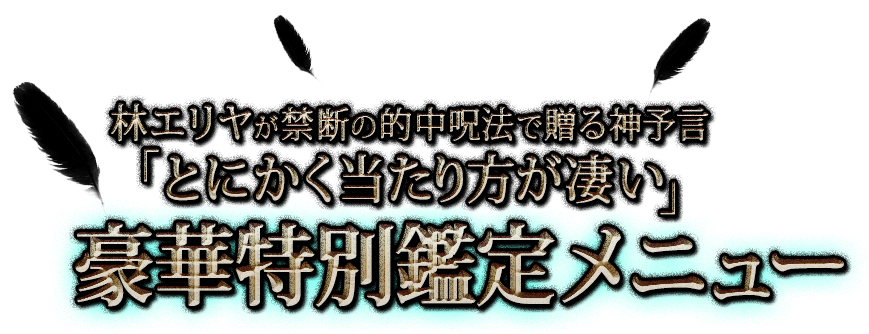�ӥ���䤬���Ǥ�Ū���ˡ��£���ͽ�� �֤Ȥˤ������������������� ������̴����˥塼