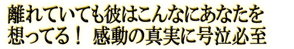 ΥƤƤϤʤˤʤۤäƤ롪 ưο¤˹ɬ
