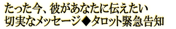 äबʤڼ¤ʥååȶ۵޹