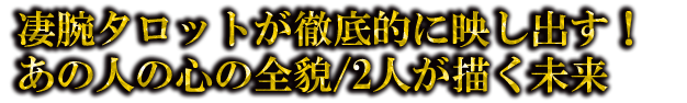 ӥåȤŰŪ˱ǤФοͤο/2̤ͤ