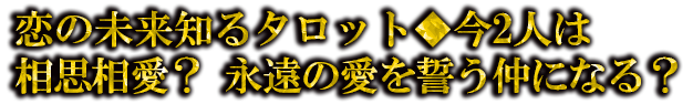 ̤Τ륿åȢ2ͤ갦 ʱΰˤʤ롩