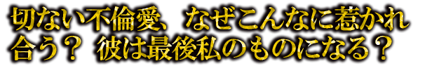 ڤʤѰʤʤ˼椫礦 ϺǸΤΤˤʤ롩
