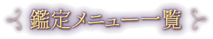 �����˥塼����