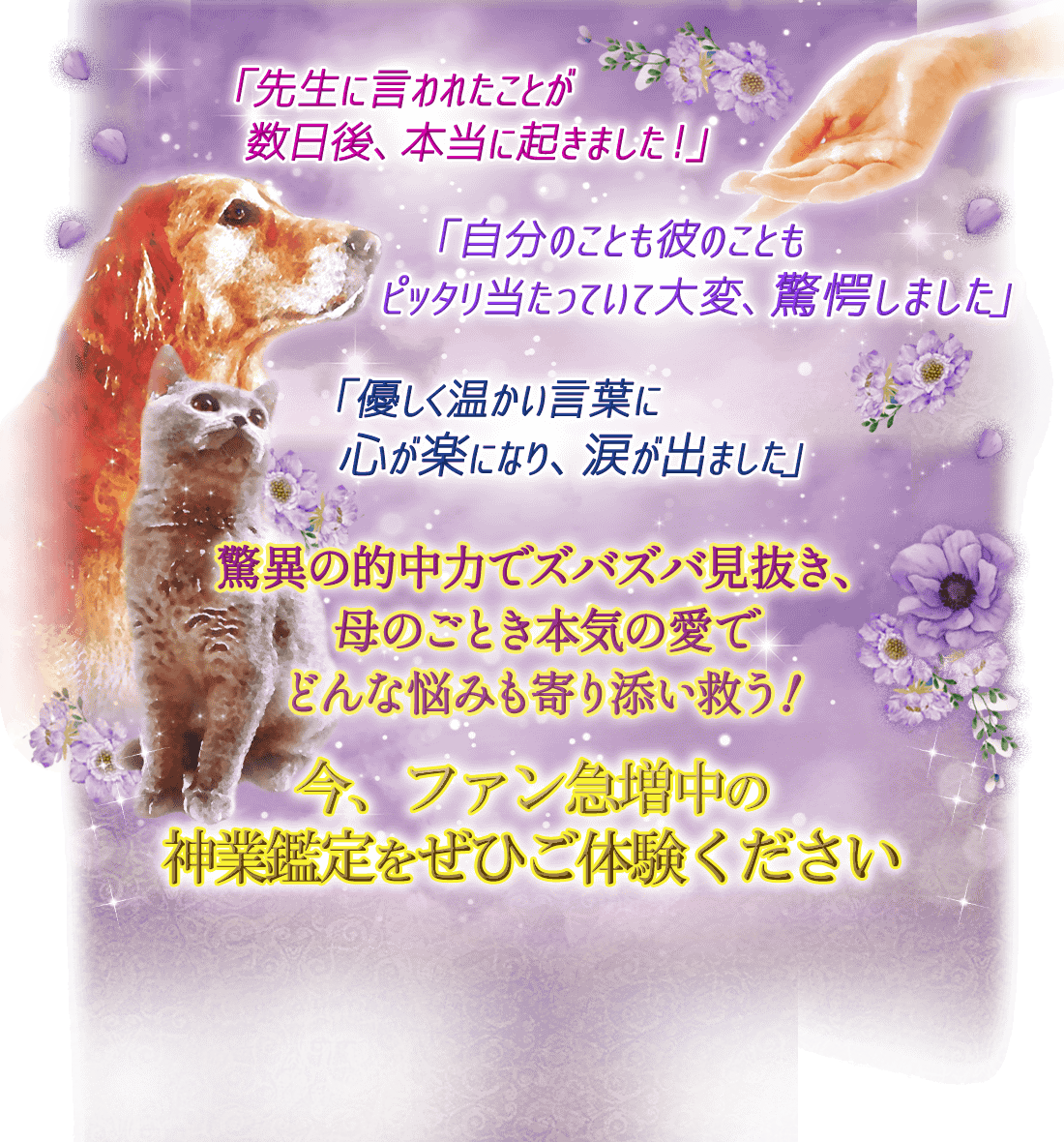 �������˸���줿���Ȥ������塢�����˵����ޤ������סּ�ʬ�Τ��Ȥ���Τ��Ȥ�ԥå��������äƤ������ѡ���س���ޤ����ס�ͥ�������������դ˿����ڤˤʤꡢ�ޤ��Фޤ����׶ðۤ�Ū���Ϥǥ��Х��и�ȴ������Τ��Ȥ��ܵ��ΰ��Ǥɤ��Ǻ�ߤ���ź���ߤ��������ե��������ο��ȴ���򤼤Ҥ��θ���������