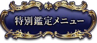 ���̴����˥塼