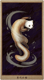 �Ѳ���캡ʤƤ��