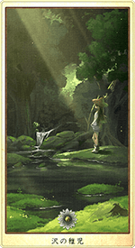 �����ջ�