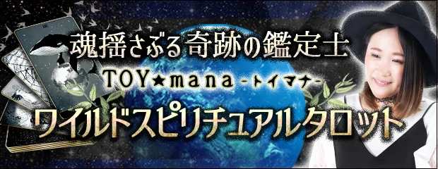 TOY★mana