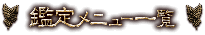˥塼