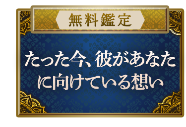 �y�����Ӓ�z�_��^���b�g���f���^���I�y���������A�ނ����Ȃ��Ɍ����Ă���z���z